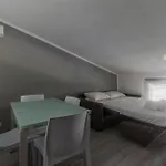 Maxi House Apartment